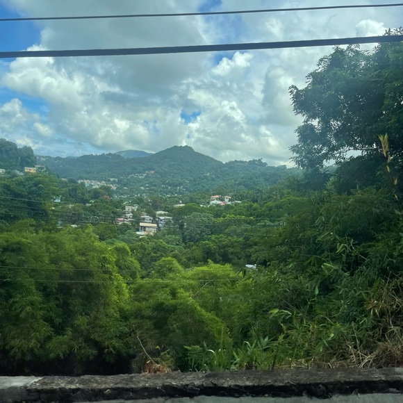 Meet your Posher, Robin - Picture 1 of 1